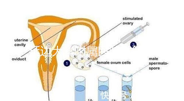 延邊大學附屬醫(yī)院試管怎么樣，助孕成功率、收費目錄表奉上