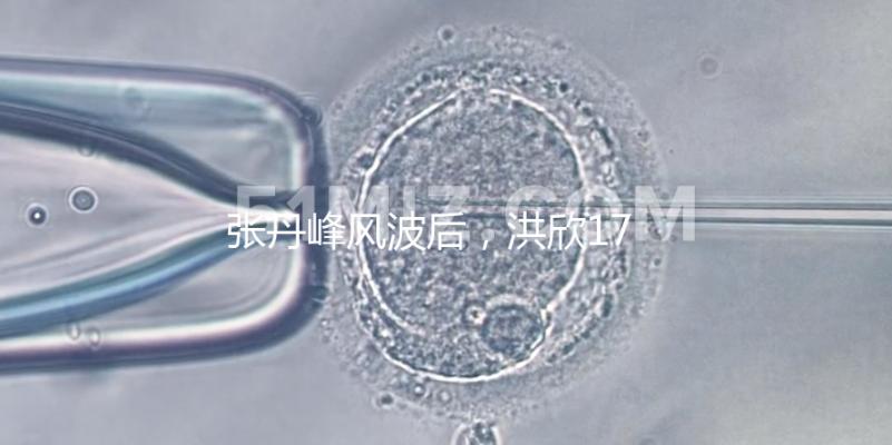 張丹峰風(fēng)波后，洪欣17歲兒子表白媽媽一家人疑似和好如初