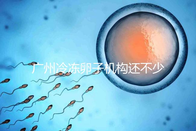 廣州冷凍卵子機構(gòu)還不少，但國內(nèi)凍卵這些條件你達成了嗎？