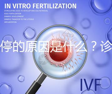 胎停的原因是什么？診斷鑒別80%是精子問(wèn)題