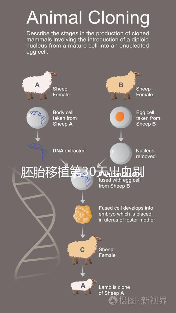 胚胎移植第30天出血別緊張,4個(gè)方法助你成功保胎