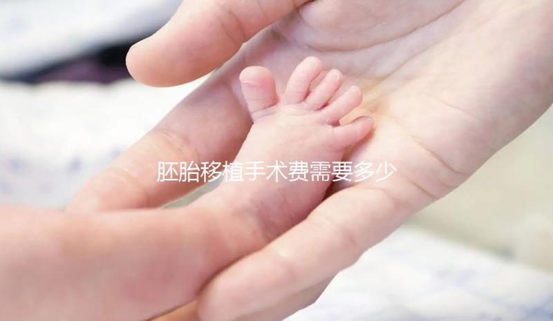 胚胎移植手術(shù)費需要多少錢？