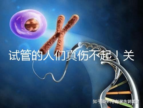 試管的人們真傷不起!關于養囊的成功率這些你得知道