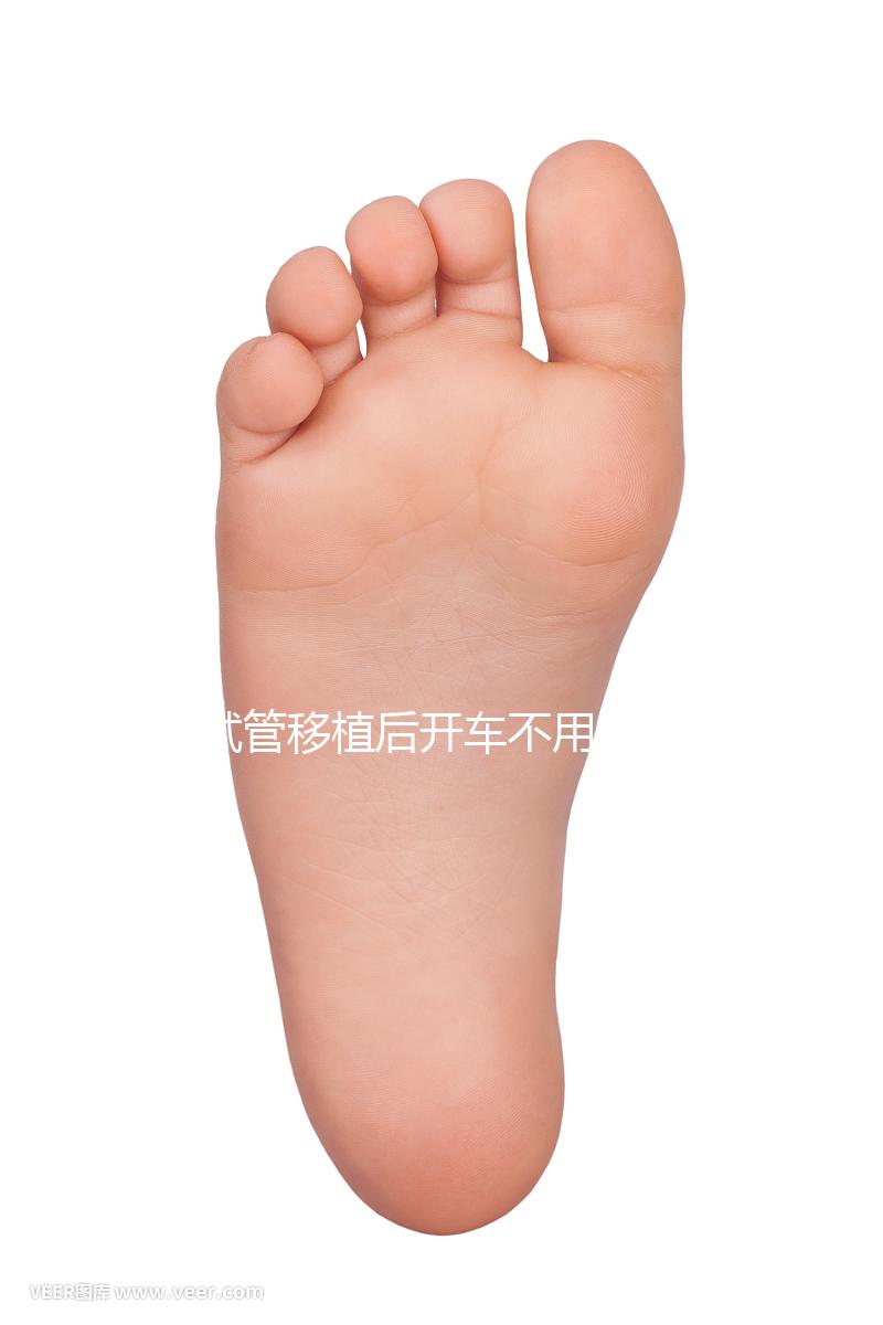 試管移植后開車不用太講究，休息和出行問題解答都在這里