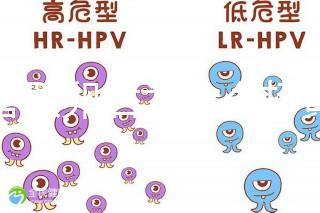試管取卵后為什么打黃體酮？3大作用的目的都殊途同歸