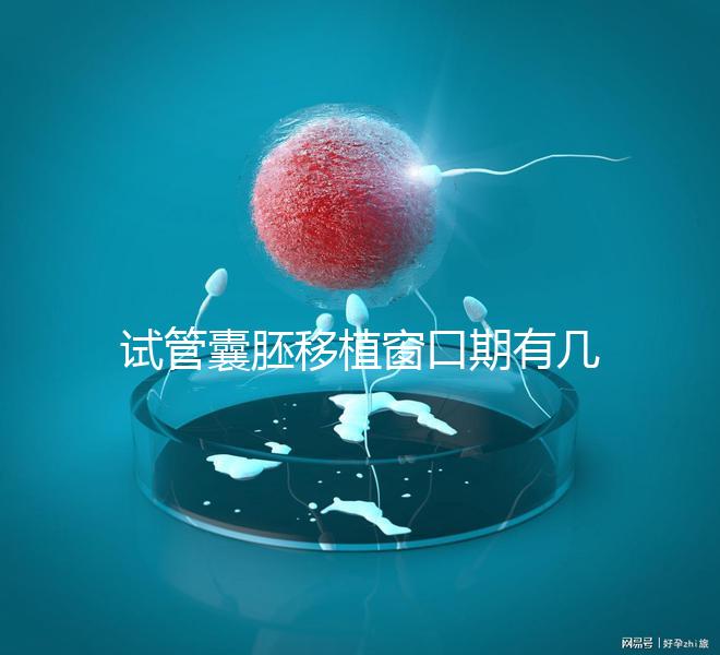 試管囊胚移植窗口期有幾天看這，弄明白什么時(shí)候更易著床