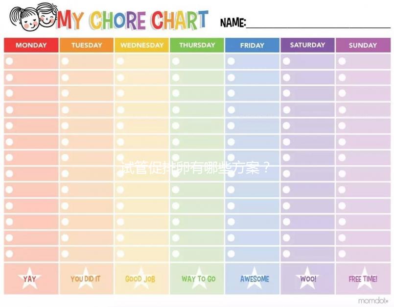 試管促排卵有哪些方案？2024年，如果你想懷孕，你應該選擇適合自己的
