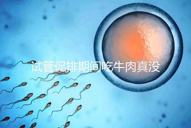 試管促排期間吃牛肉真沒影響，關鍵在于是火鍋還是牛肉干