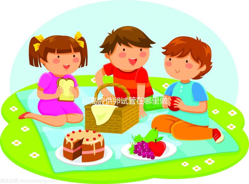 超高齡供卵試管在哪里做？泰國or馬來西亞不合法別被騙