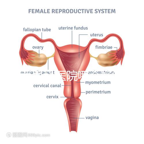 雞西男科醫院哪個好答案在這里？公立和私立各有優勢