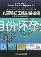 40歲幾月份懷孕生男孩？你想要的答案在生男生女清宮圖