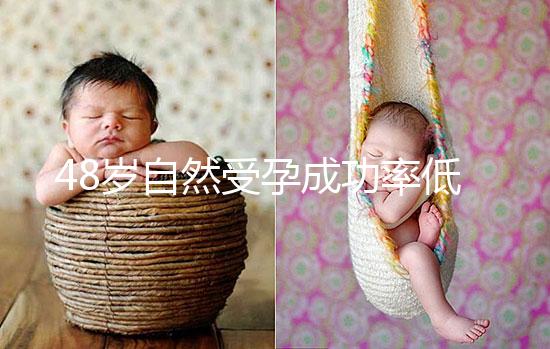 48歲自然受孕成功率低別擔(dān)心！提升懷孕的幾率僅需3招