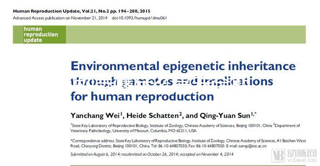 60秒弄懂什么是安全期，女生們別再和黃體期混為一談！