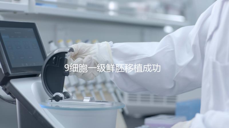 9細胞一級鮮胚移植成功率分析，和8細胞2級相比略遜一籌