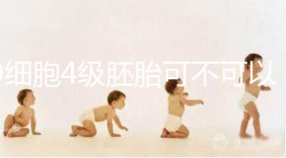 9細胞4級胚胎可不可以移植，看完質(zhì)量差不差再下定論