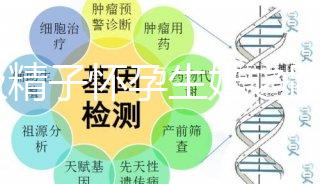 C級精子懷孕生娃之路不好走，試管或是唯一的選擇
