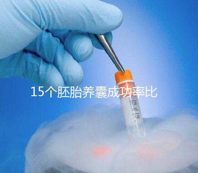15個胚胎養囊成功率比想象高，只成了1個不正常要警惕
