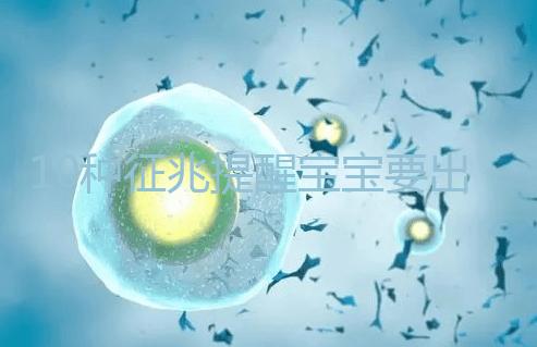 10種征兆提醒寶寶要出生了,分娩前一周陸續(xù)出現(xiàn)要觀察