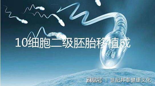 10細胞二級胚胎移植成功率解析，應不應該養囊答案在這