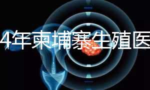 2024年柬埔寨生殖醫(yī)院排名，試管嬰兒都在這里