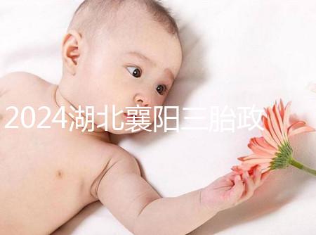 2024湖北襄陽三胎政策最新消息速覽，國家獎(jiǎng)勵(lì)1萬購房補(bǔ)貼