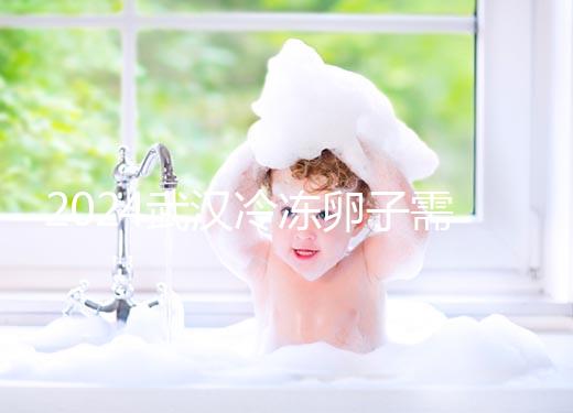 2024武漢冷凍卵子需要多少錢？同濟醫院凍卵只需1