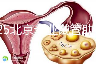 2025北京專業試管助孕機構可靠推薦來咯，這3家超棒，快碼??！