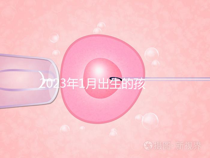 2023年1月出生的孩子取名宜忌要早知，星座、屬相均有講究