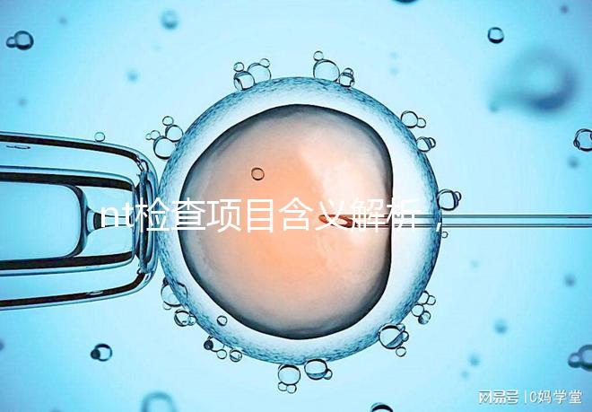 nt檢查項目含義解析，每個內(nèi)容都相當(dāng)重要